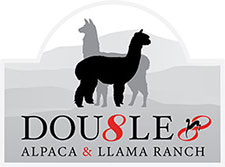 Double 8 Alpaca & Llama Ranch Logo